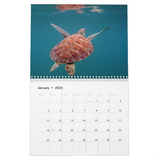 Riviera Maya Mexico Agenda Kalender (Jan 2026)