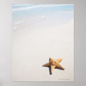 Riviera Maya Poster (Voorkant)