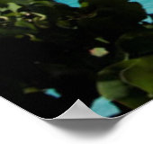 Riviera Maya Poster (Hoek)