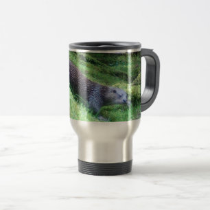 Rivierdier Otter Vreedzaam Water Dieren Scene Natu Reisbeker