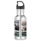 Rivieren van het Inspirerend van het levende water Waterfles (Achterkant)