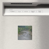 Rivieren van het Leven Magneet (Insitu (Vaatwasser))
