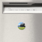 rivierkreeft magneet (Insitu (Vaatwasser))