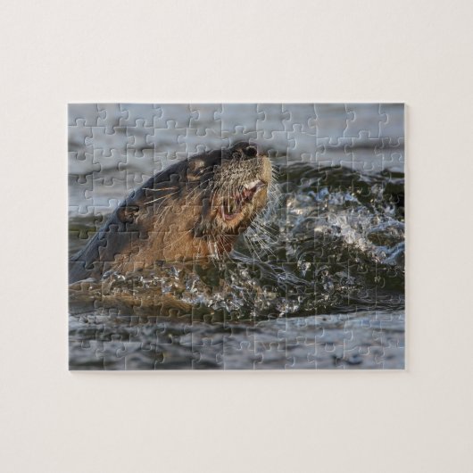rivierotter legpuzzel (Horizontaal)