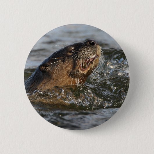 rivierotter ronde button 5,7 cm (Voorkant)