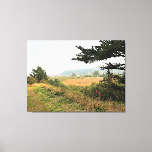 Riviervloed aan de Kaap Blanco, oregon kust Canvas Afdruk (Voorkant)