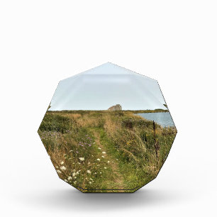 Riviervloed aan de Kaap Blanco, oregon kust Fotoblokken