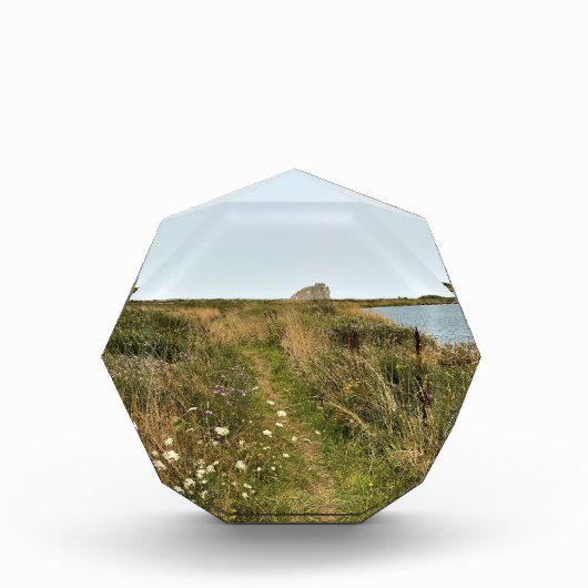 Riviervloed aan de Kaap Blanco, oregon kust Fotoblokken (Voorkant)