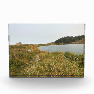 Riviervloed aan de Kaap Blanco, oregon kust Fotoblokken