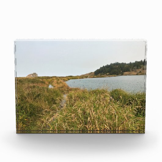 Riviervloed aan de Kaap Blanco, oregon kust Fotoblokken (Voorkant)
