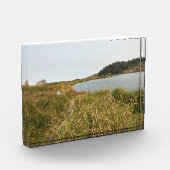 Riviervloed aan de Kaap Blanco, oregon kust Fotoblokken (Links)