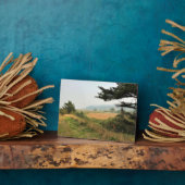 Riviervloed aan de Kaap Blanco, oregon kust Fotoplaat (Zijkant)