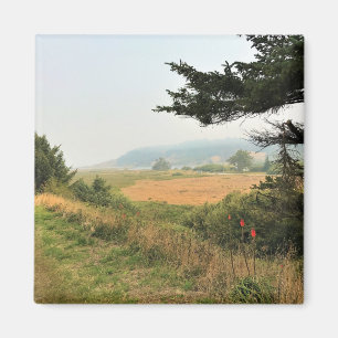 Riviervloed aan de Kaap Blanco, oregon kust Magneet