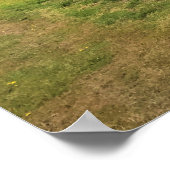 Riviervloed aan de Kaap Blanco, oregon kust Poster (Hoek)