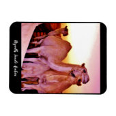 Riyadh, Saudi-Arabië Magneet (Horizontaal)