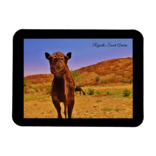 Riyadh, Saudi-Arabië Magneet