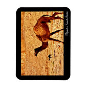 Riyadh, Saudi-Arabië Magneet (Verticaal)