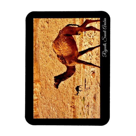 Riyadh, Saudi-Arabië Magneet (Verticaal)