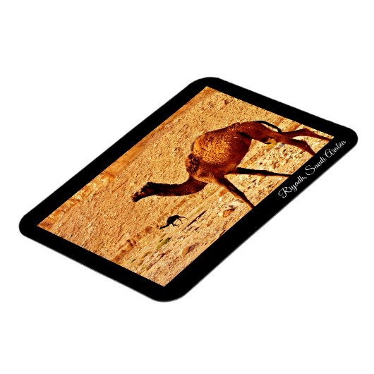 Riyadh, Saudi-Arabië Magneet (Linkerzijde)