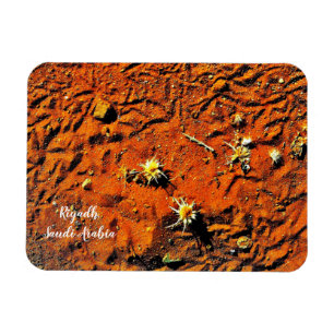 Riyadh, Saudi-Arabië Magneet