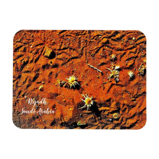 Riyadh, Saudi-Arabië Magneet (Horizontaal)