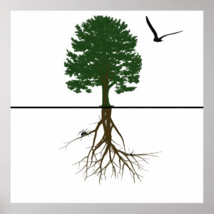 Riyah-Li Design Roots Poster