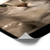 Rizz Het Seizoen Grappige Kerst Pyjama Kat Meme B Poster (Hoek)
