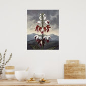 RJ Thornton - China Limodoron Orchid Poster (Keuken)