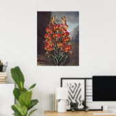 RJ Thornton - De Supurb Lily Poster (Thuiskantoor)