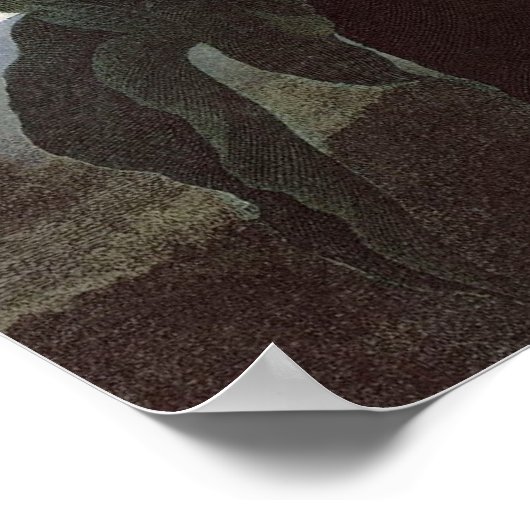 RJ Thornton - Oblique-leaved Begonia Poster (Hoek)