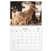 RMNP Seasons Calendar Kalender (Feb 2027)