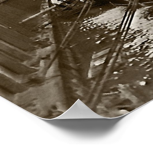 RMS Carpathia in New York Poster (Hoek)