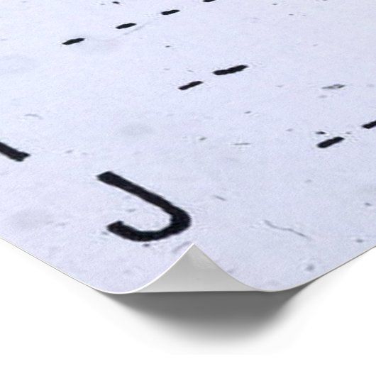 RMS Titanic Morse Code SOS Poster (Hoek)