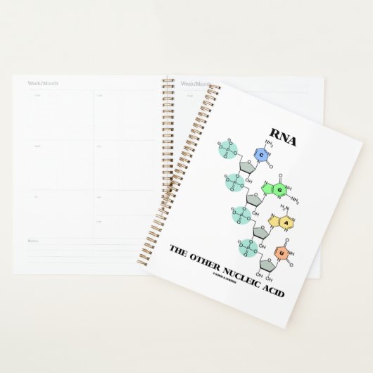 RNA de andere chemische structuur van nucleïnezuur Planner (Display)