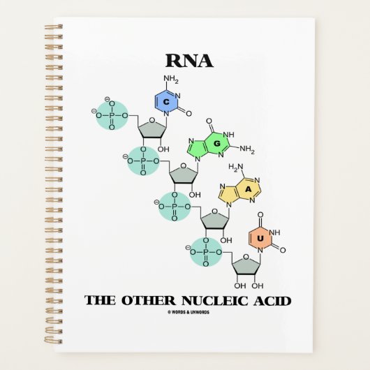 RNA de andere chemische structuur van nucleïnezuur Planner (Voorkant)