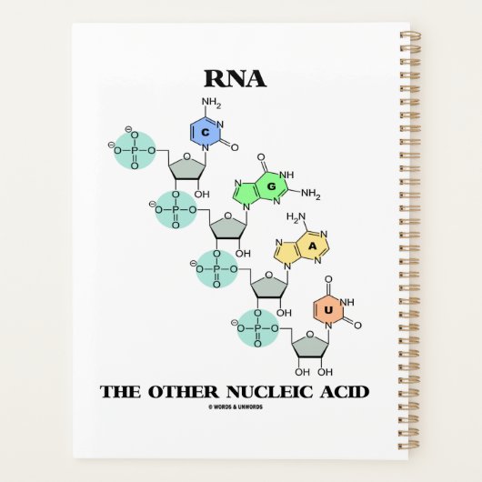 RNA de andere chemische structuur van nucleïnezuur Planner (Achterkant)