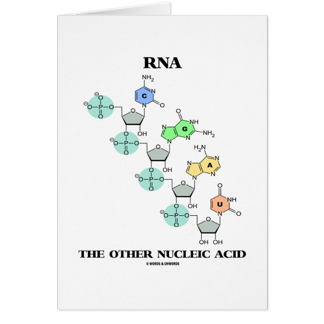 RNA het andere nucleïnezuur (chemische structuur) (Voorkant)