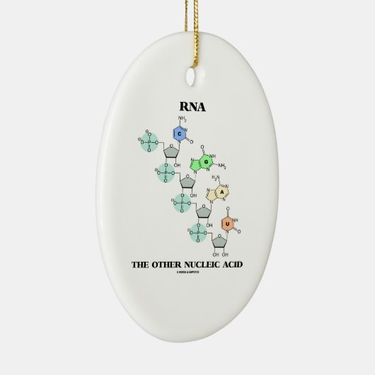 RNA het andere nucleïnezuur (chemische structuur) Keramisch Ornament (Rechts)
