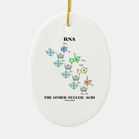 RNA het andere nucleïnezuur (chemische structuur) Keramisch Ornament (Voorkant)