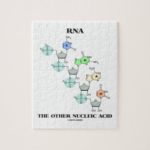 RNA het andere nucleïnezuur (chemische structuur) Legpuzzel