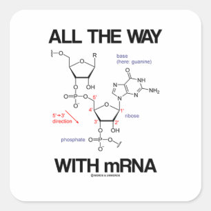 RNA Messenger RNA Molecular Bio Vierkante Sticker