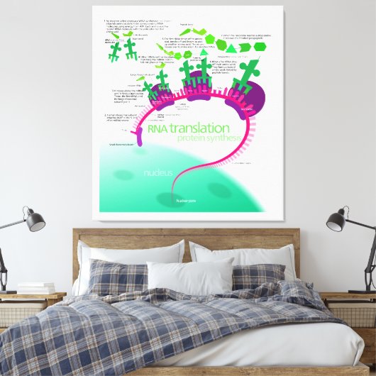 RNA Vertaling in Eiwitsynthesediagram Canvas Afdruk (Insitu (Slaapkamer))