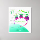 RNA Vertaling in Eiwitsynthesediagram Canvas Afdruk (Voorkant)