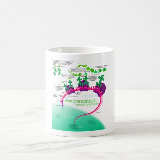 RNA Vertaling in Eiwitsynthesediagram Koffiemok (Center)