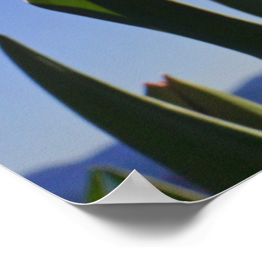 Rn's Dank je posters prints Weekverpleging (Hoek)