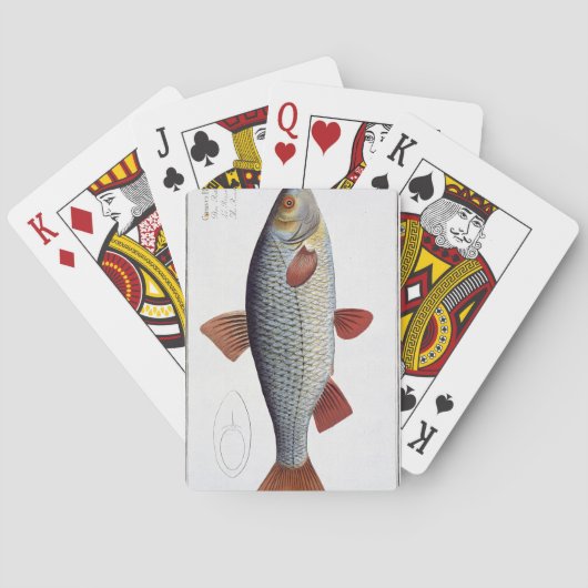 Roach (Cyprinus Rutilis) plate II from 'Ichthyolog Pokerkaarten (Achterkant)