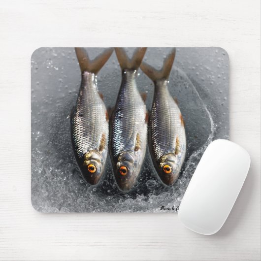 Roach Muismat (Met muis)