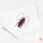 Roach! Ronde Sticker (Envelop)