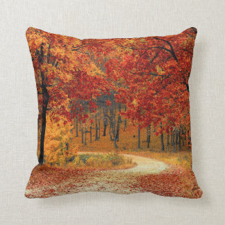 Road Forest Herfst Path Sierkussen