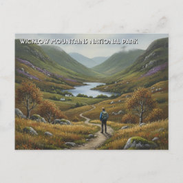 Road in Wicklow Mountains National Park Ireland Briefkaart